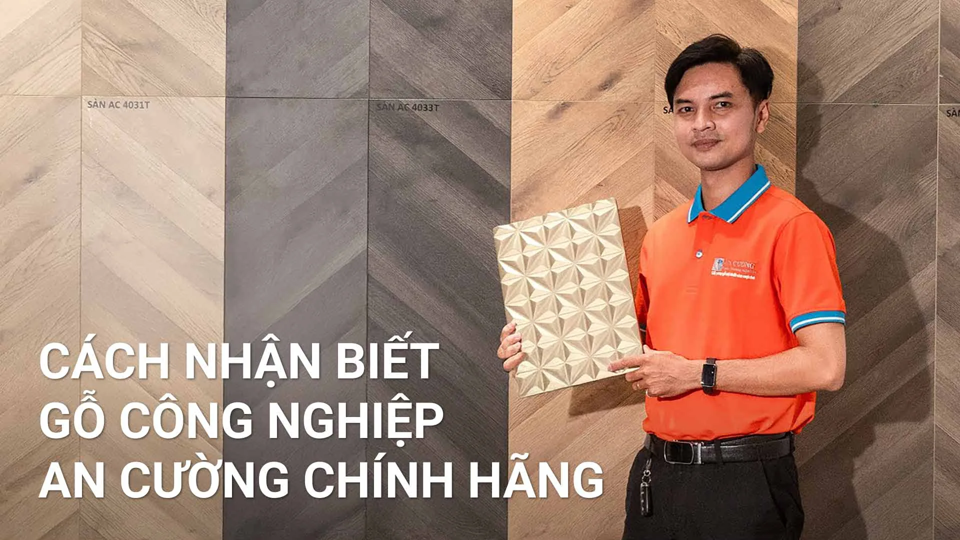Cách Nhận Biết Gỗ An Cường Chính Hãng Chuẩn Xác 100% Cho Mọi Công Trình