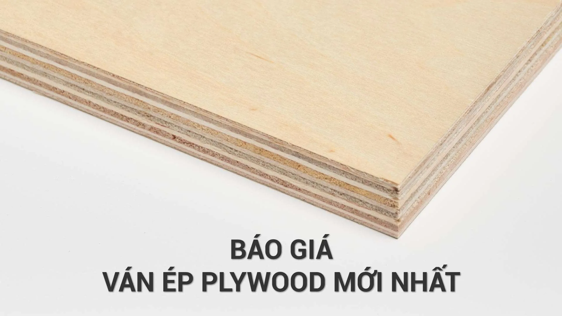 Báo Giá Ván Ép Plywood: Giải Mã Nguyên Nhân Đắt Hơn Và Mẹo Tránh Hớ