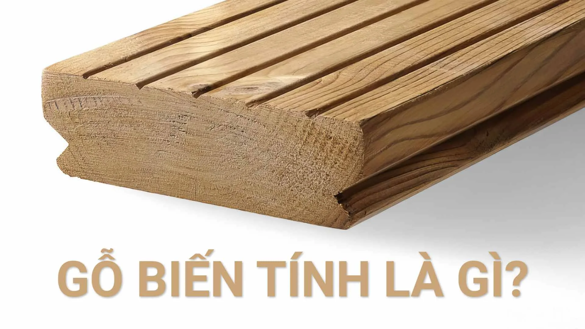 Gỗ Biến Tính - Đỉnh Cao Công Nghệ Vật Liệu Gỗ Ngoài Trời Chịu Mưa Nắng Bền Bỉ