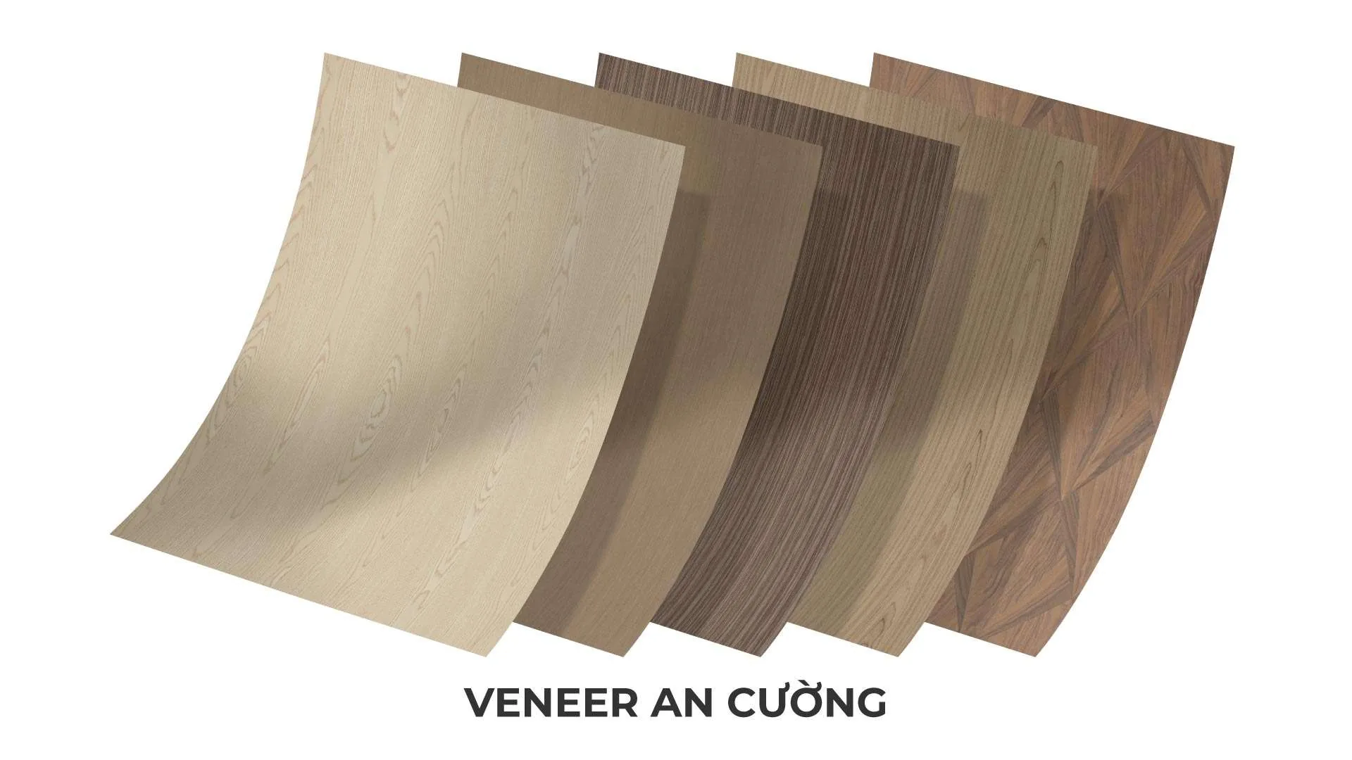 Gỗ HDF Phủ Veneer Giải Pháp Vật Liệu Chịu Lực Mang Vẻ Đẹp Gỗ Tự Nhiên - vật liệu Gỗ An Cường