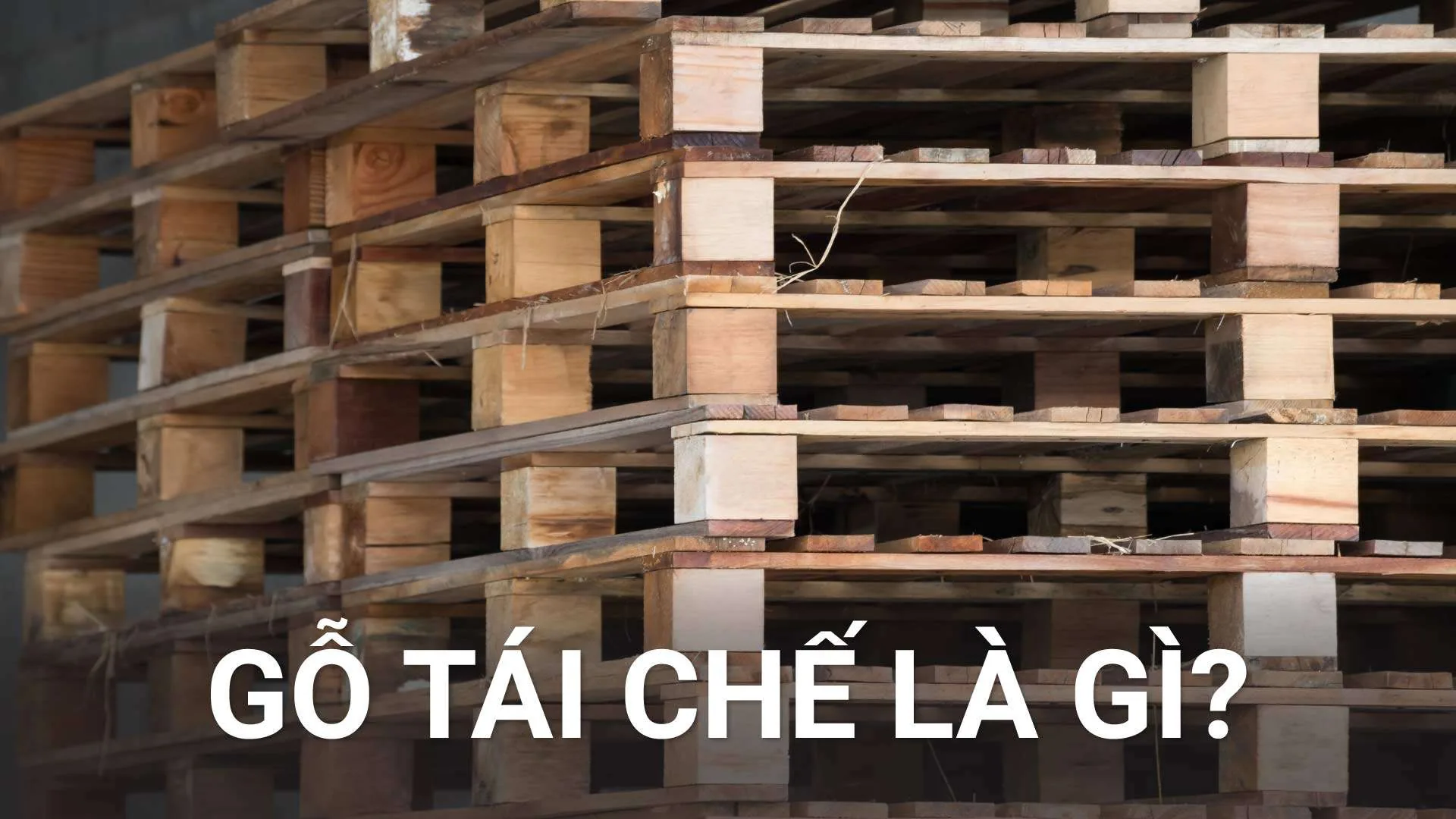 Gỗ Tái Chế: Câu Chuyện Bền Vững Từ Pallet Đến Không Gian Sống Độc Đáo