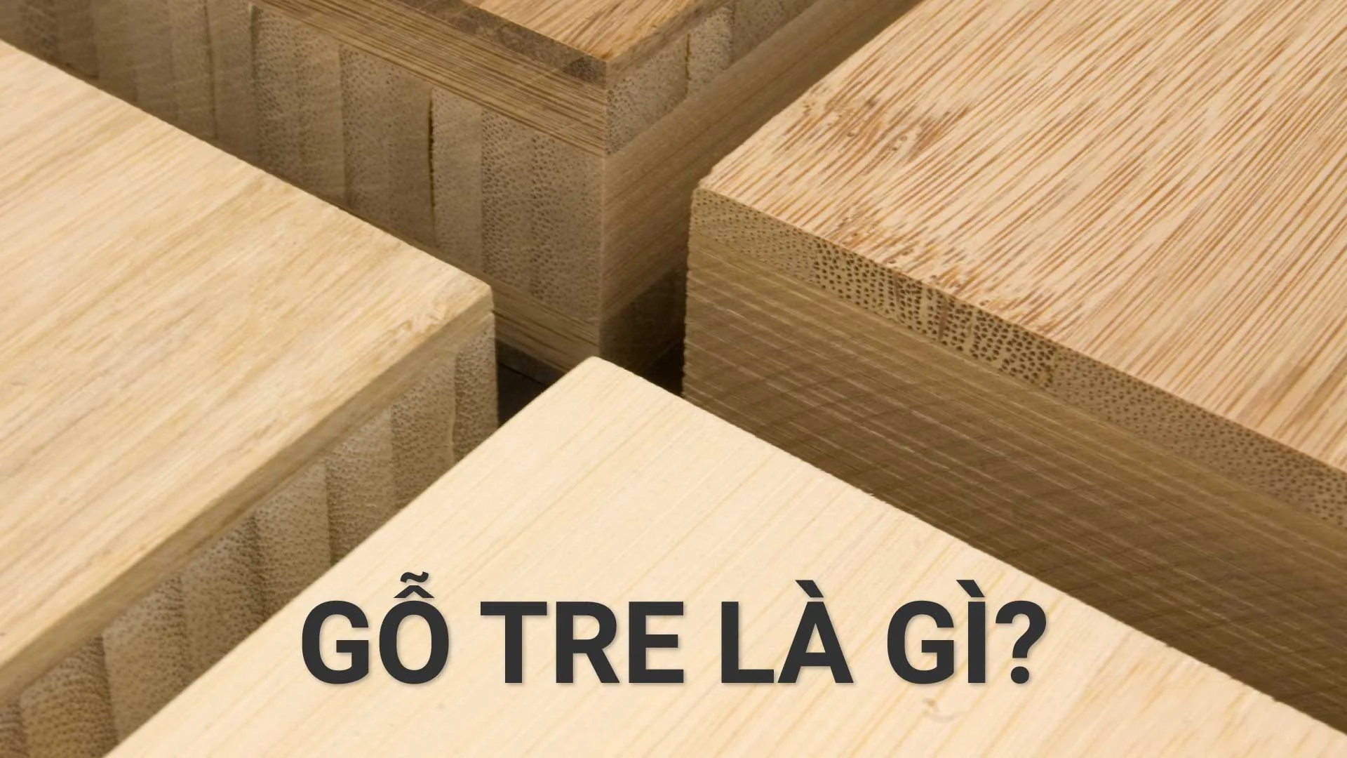 Gỗ Tre: Giải Pháp Vật Liệu Tái Sinh Nhanh, Bền Bỉ Hàng Đầu