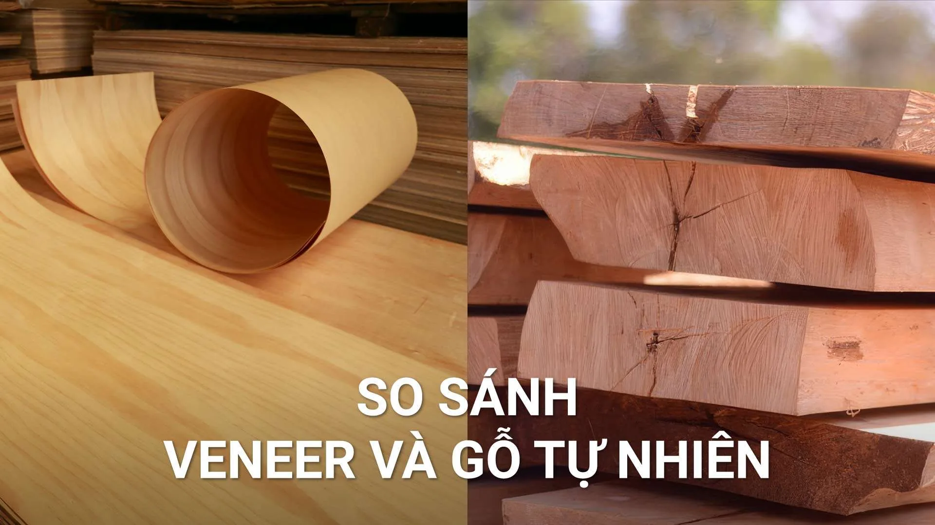 So Sánh Gỗ Veneer và Gỗ Tự Nhiên: Lựa Chọn Nào Phù Hợp Cho Không Gian Của Bạn?