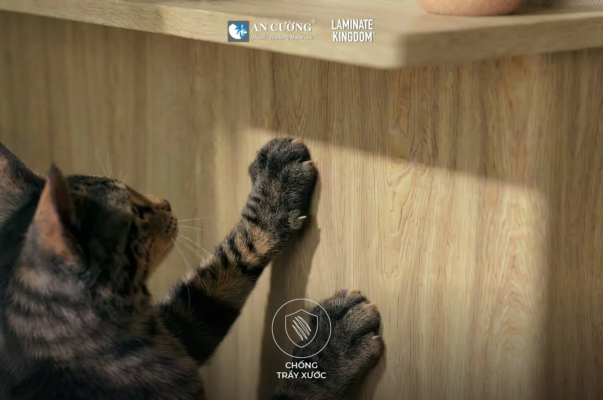 Laminate Kingdom Synchronized EIR: Bền Bỉ Theo Thời Gian, Chân Thực Trong Từng Điểm Chạm - vật liệu Gỗ An Cường