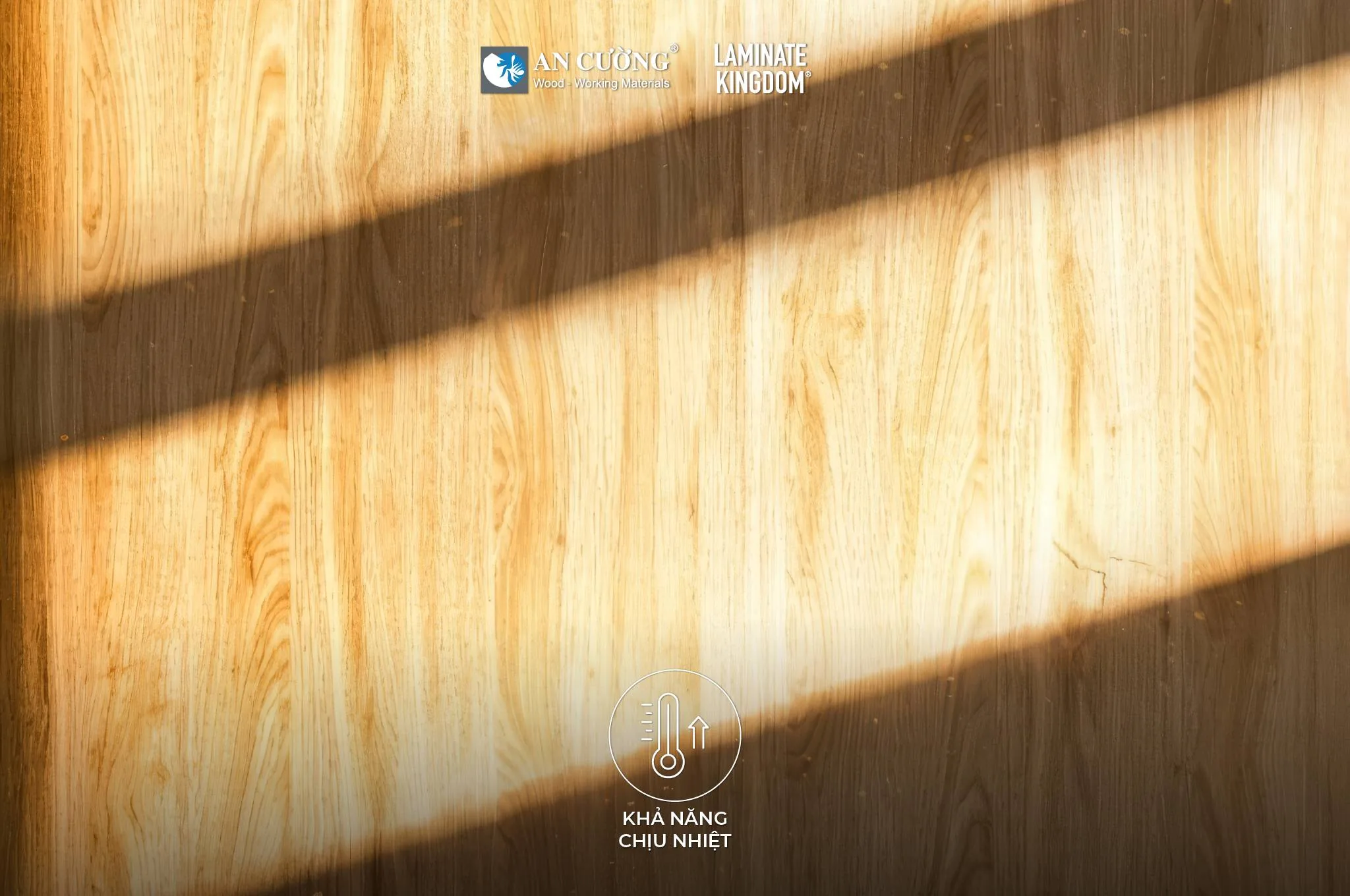 Laminate Kingdom Synchronized EIR: Bền Bỉ Theo Thời Gian, Chân Thực Trong Từng Điểm Chạm - vật liệu Gỗ An Cường