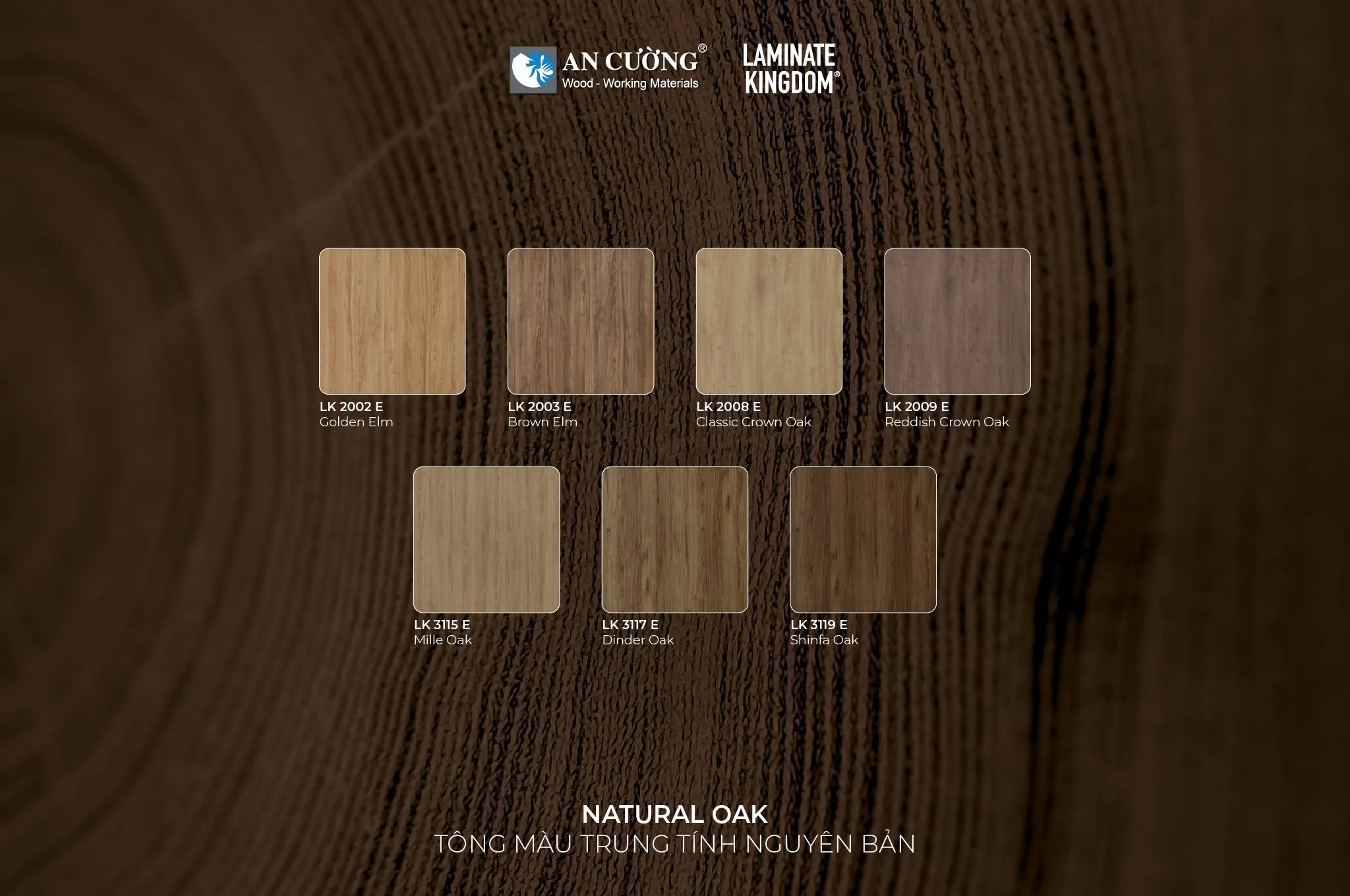 Laminate Kingdom Synchronized EIR - Tuyệt Tác Đồng Vân Dập Nổi Dành Cho Không Gian Sang Trọng - vật liệu Gỗ An Cường