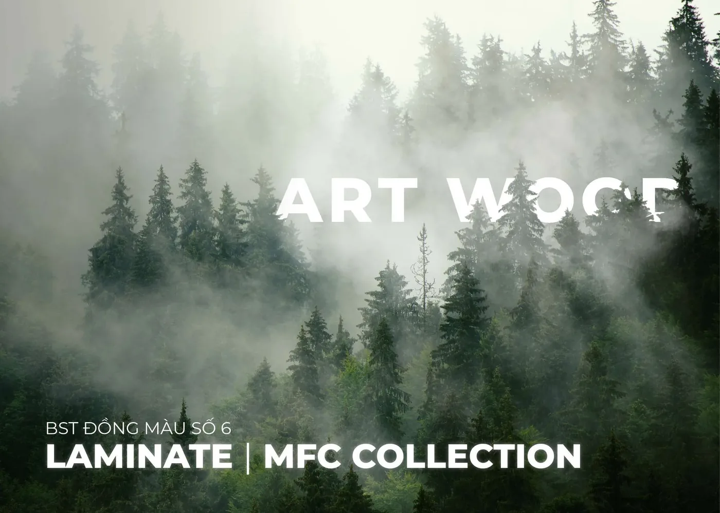 Bộ Sưu Tập Đồng Màu Laminate và MFC Art Wood by An Cường