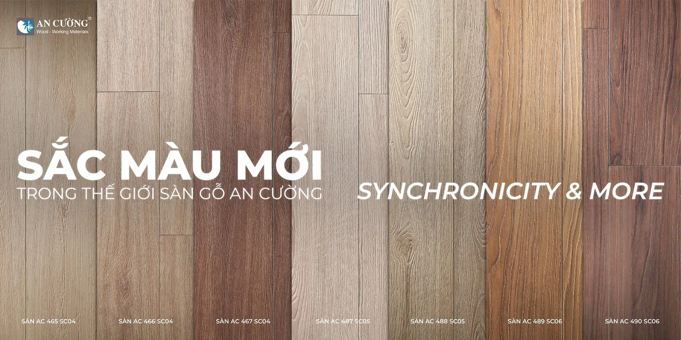 Sắc màu mới sàn gỗ An Cường