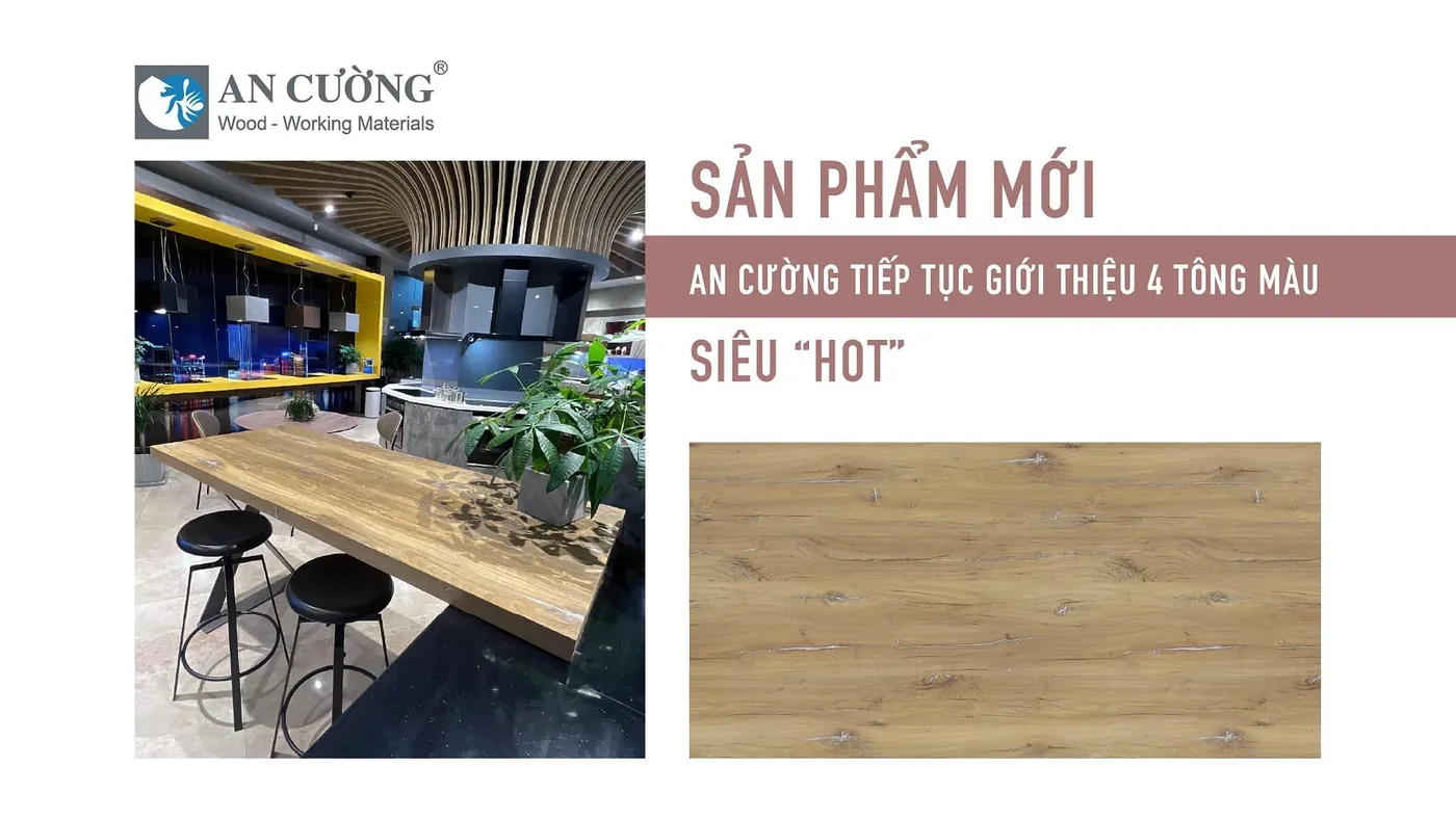 4 tông màu siêu hot