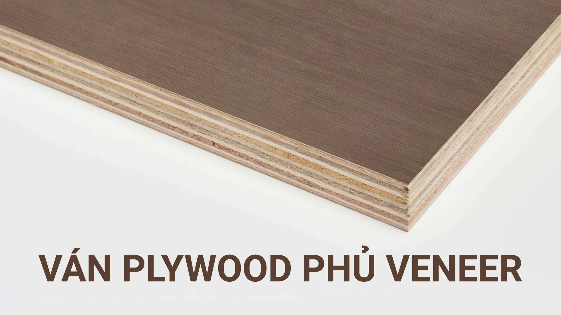 Ván Plywood Phủ Veneer: Giải Pháp Nội Thất Gỗ Tự Nhiên Hoàn Hảo Cho Không Gian Kiến Trúc Đẳng Cấp An Cường