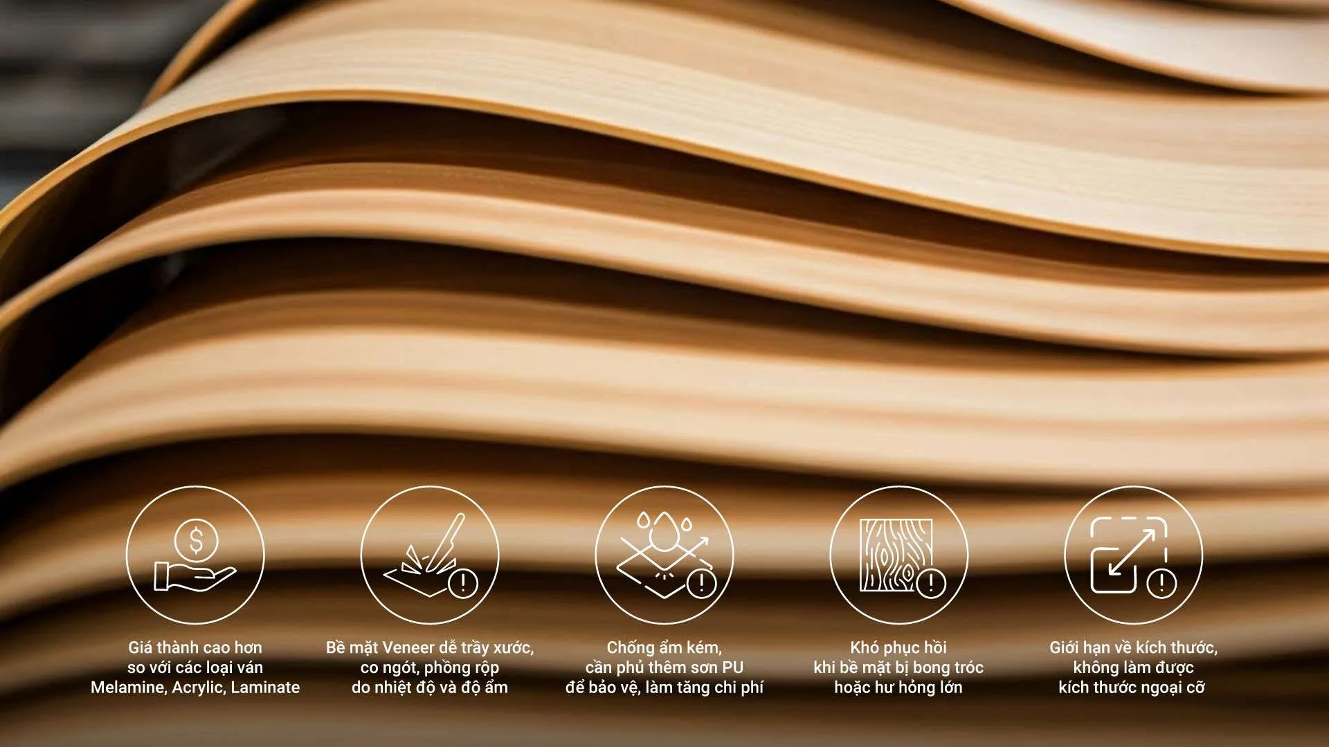 Ván Plywood Phủ Veneer: Giải Pháp Nội Thất Gỗ Tự Nhiên Hoàn Hảo Cho Không Gian Kiến Trúc Đẳng Cấp - vật liệu Gỗ An Cường