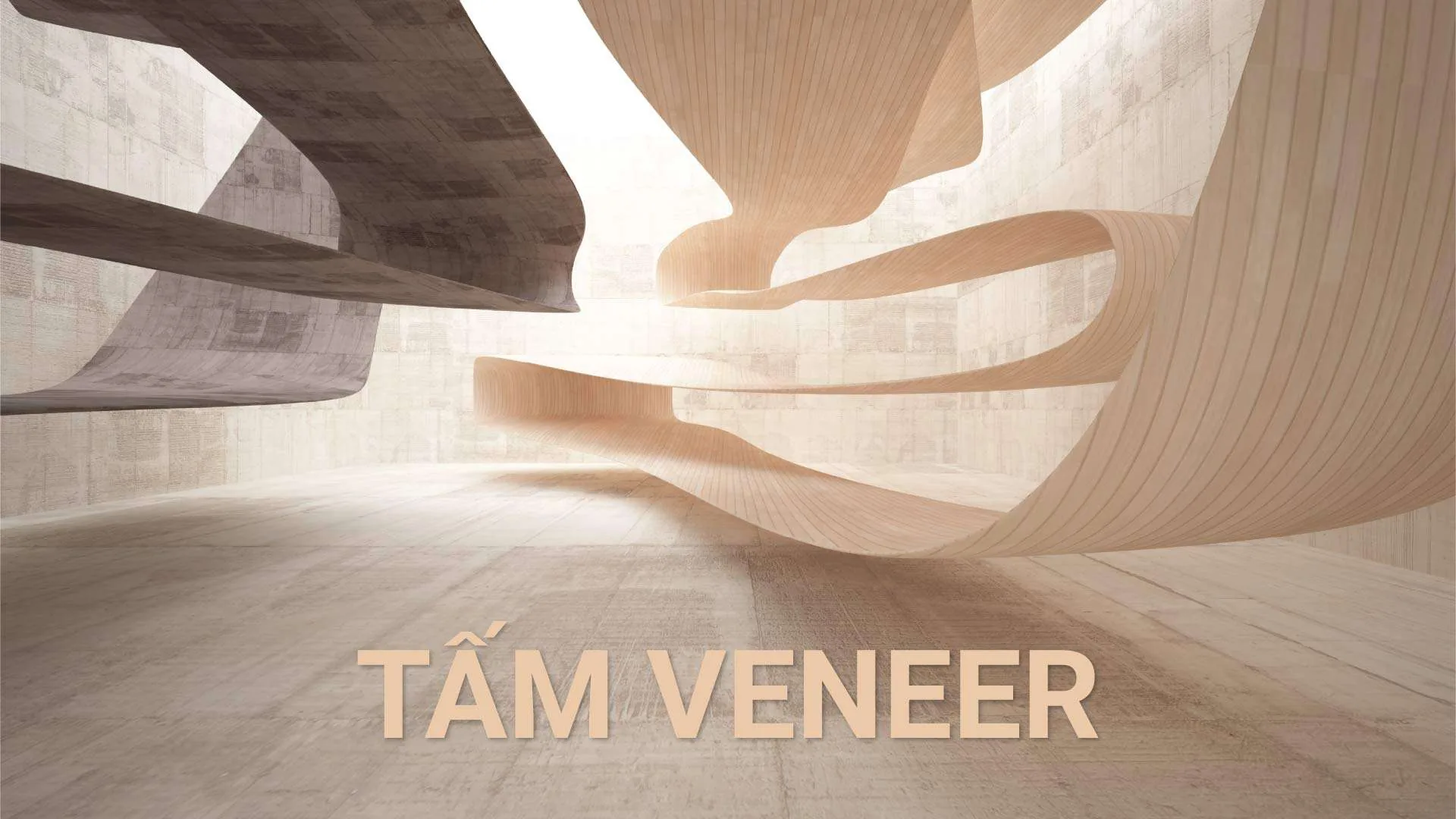 Veneer Là Gì? Cấu Tạo, Ưu Nhược Điểm Và Cách Chọn Đúng An Cường