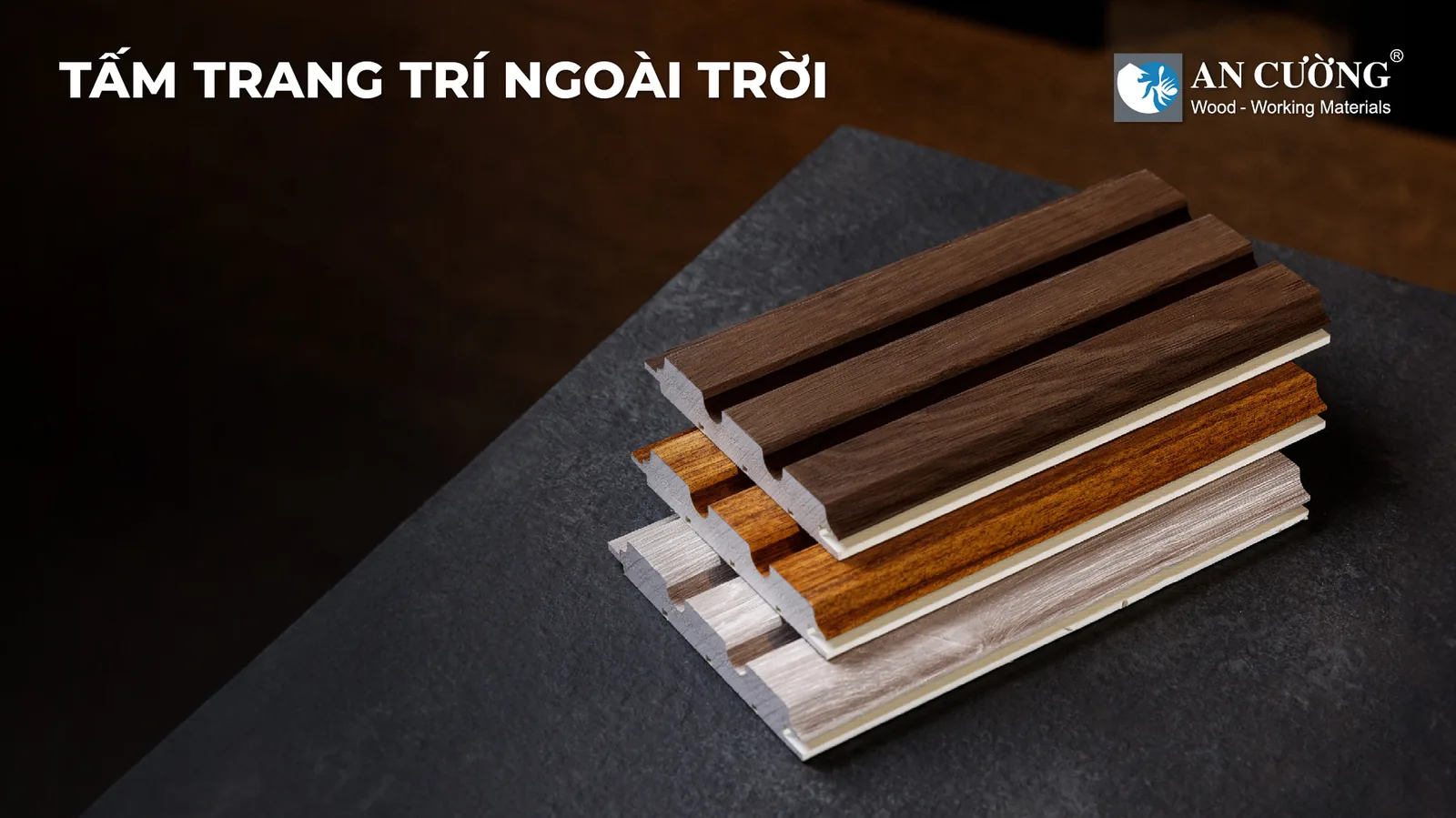 Tấm Trang Trí Ngoài Trời Gỗ An Cường: Giải Pháp Ngoại Thất Bền Bỉ Đi Cùng Năm Tháng An Cường